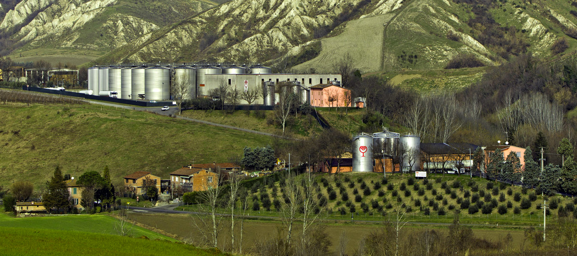 Image Alt